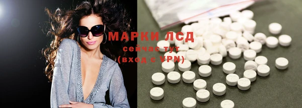 шишки Белокуриха