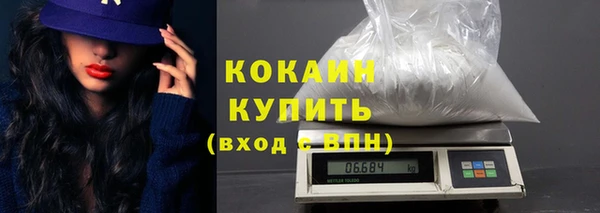 шишки Белокуриха