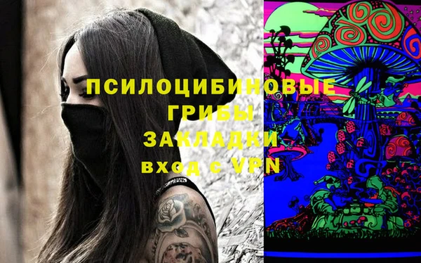 ПСИЛОЦИБИНОВЫЕ ГРИБЫ Балабаново