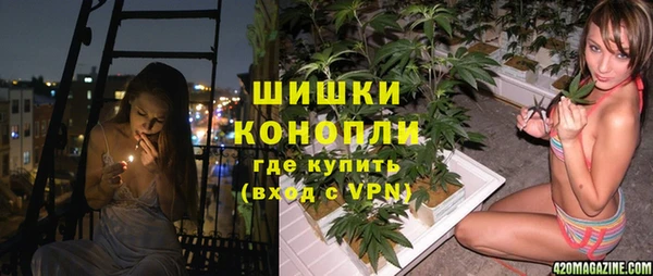 шишки Белокуриха