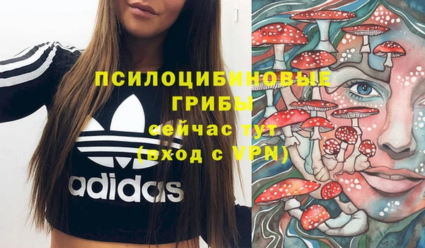 спиды Баксан