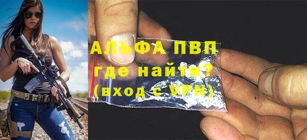 PSILOCYBIN Беломорск