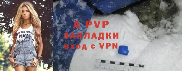 шишки Белокуриха