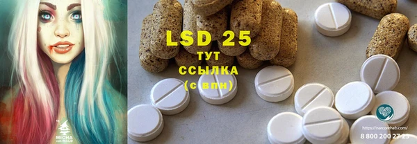 PSILOCYBIN Беломорск