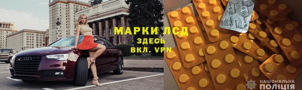 шишки Белокуриха